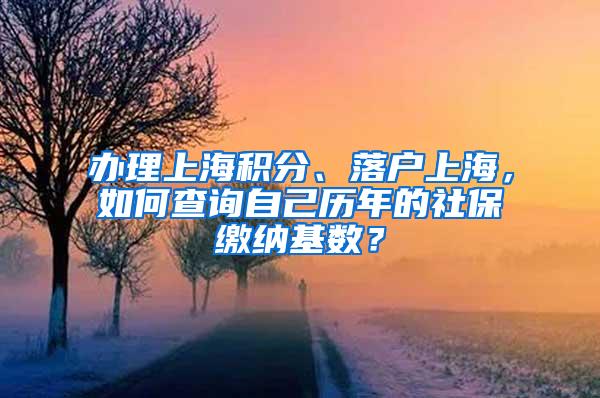 办理上海积分、落户上海，如何查询自己历年的社保缴纳基数？