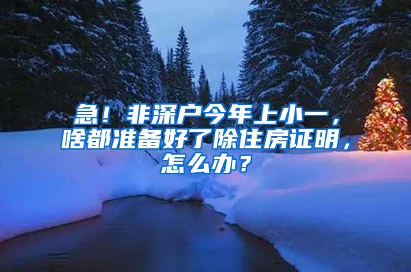 急！非深户今年上小一，啥都准备好了除住房证明，怎么办？