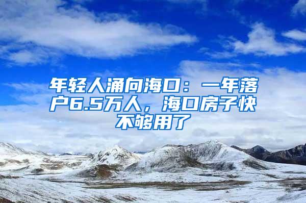 年轻人涌向海口：一年落户6.5万人，海口房子快不够用了