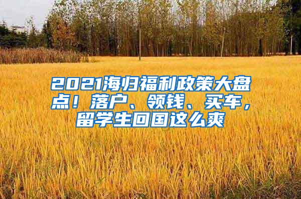 2021海归福利政策大盘点！落户、领钱、买车，留学生回国这么爽