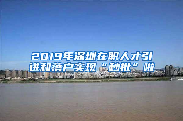 2019年深圳在职人才引进和落户实现“秒批”啦