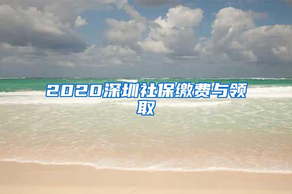 2020深圳社保缴费与领取