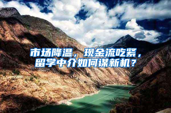 市场降温，现金流吃紧，留学中介如何谋新机？