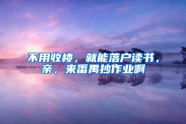 不用收楼，就能落户读书，亲，来番禺抄作业啊