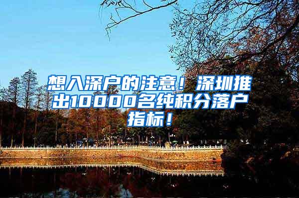 想入深户的注意！深圳推出10000名纯积分落户指标！