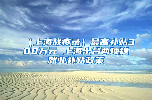 （上海战疫录）最高补贴300万元 上海出台两项稳就业补贴政策