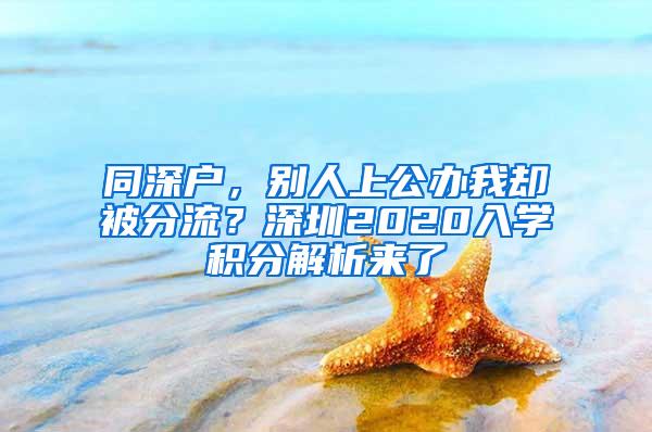 同深户，别人上公办我却被分流？深圳2020入学积分解析来了