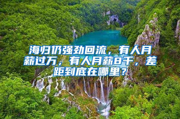 海归仍强劲回流，有人月薪过万，有人月薪8千，差距到底在哪里？