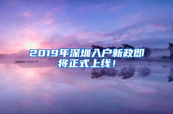 2019年深圳入户新政即将正式上线！