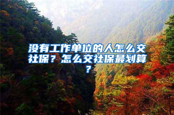 没有工作单位的人怎么交社保？怎么交社保最划算？