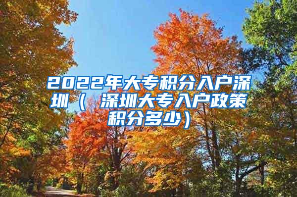 2022年大专积分入户深圳（ 深圳大专入户政策积分多少）