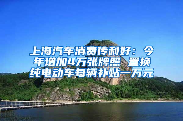 上海汽车消费传利好：今年增加4万张牌照 置换纯电动车每辆补贴一万元