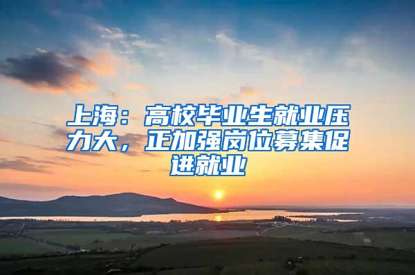 上海：高校毕业生就业压力大，正加强岗位募集促进就业