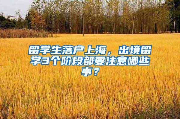 留学生落户上海，出境留学3个阶段都要注意哪些事？