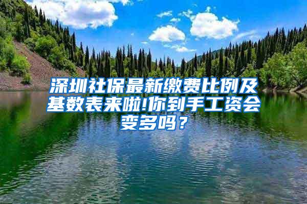 深圳社保最新缴费比例及基数表来啦!你到手工资会变多吗？