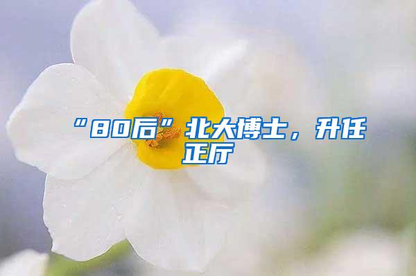 “80后”北大博士，升任正厅