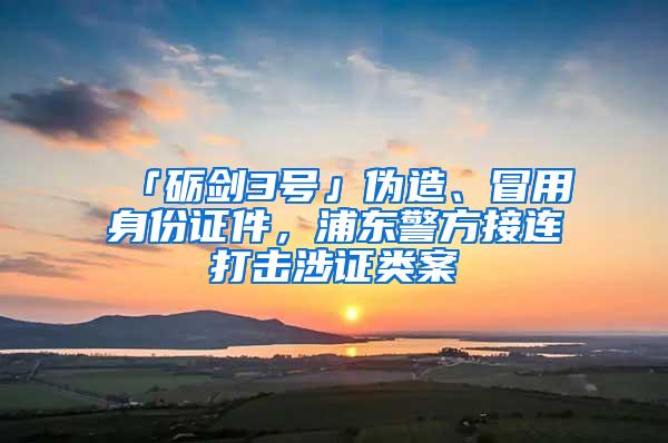 「砺剑3号」伪造、冒用身份证件，浦东警方接连打击涉证类案