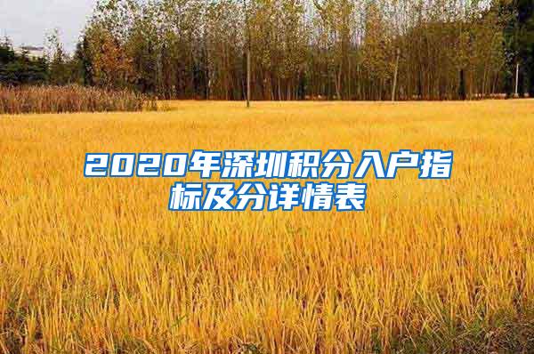 2020年深圳积分入户指标及分详情表