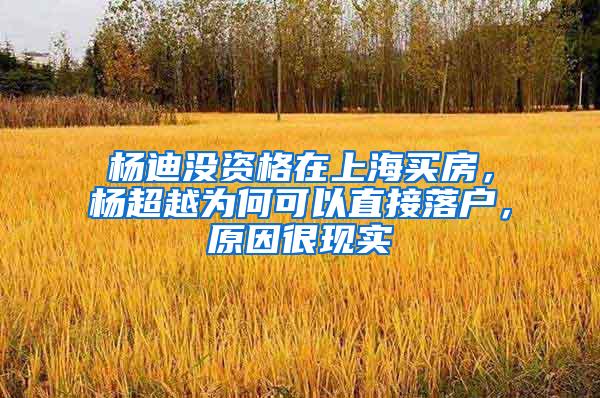 杨迪没资格在上海买房，杨超越为何可以直接落户，原因很现实