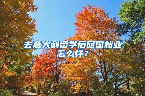 去意大利留学后回国就业怎么样？