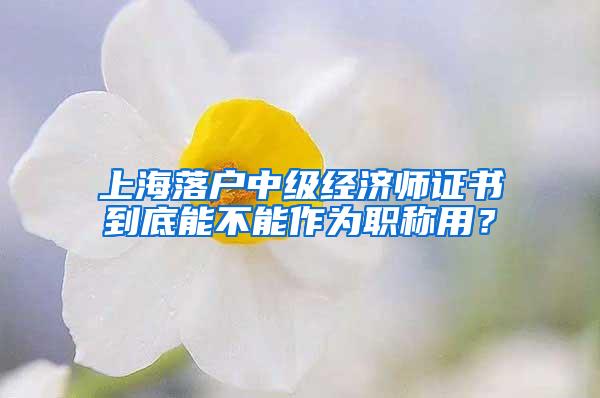 上海落户中级经济师证书到底能不能作为职称用？