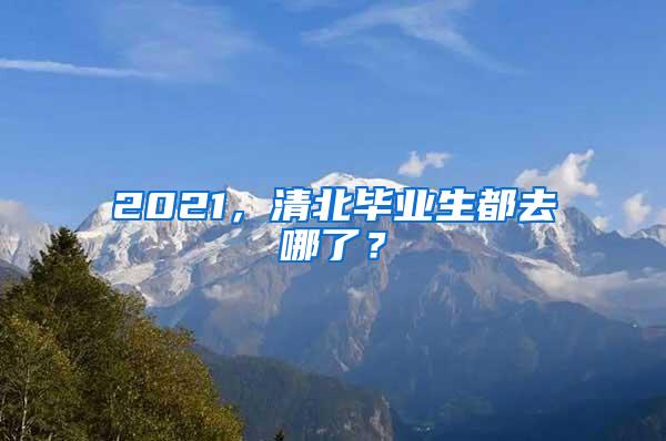 2021，清北毕业生都去哪了？