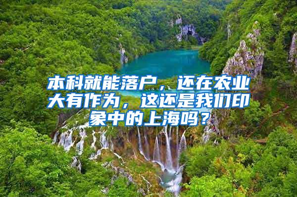 本科就能落户，还在农业大有作为，这还是我们印象中的上海吗？