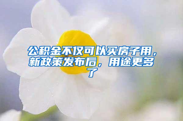 公积金不仅可以买房子用，新政策发布后，用途更多了