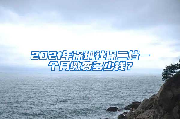 2021年深圳社保二档一个月缴费多少钱？