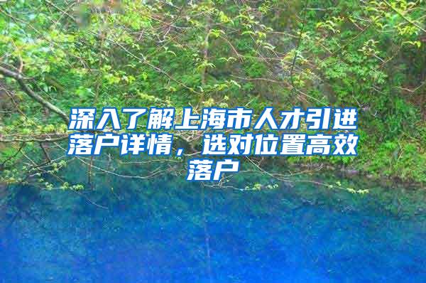 深入了解上海市人才引进落户详情，选对位置高效落户