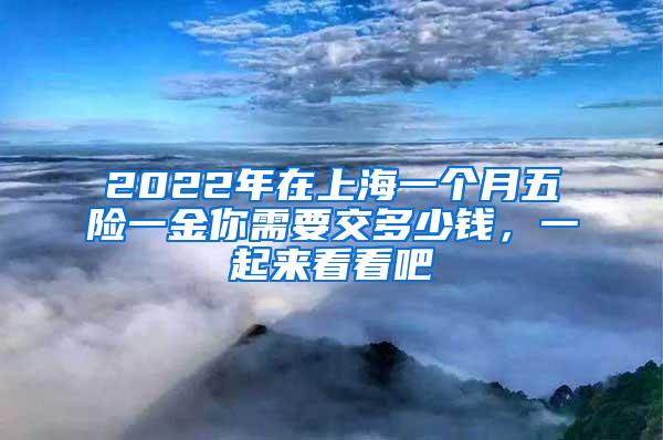 2022年在上海一个月五险一金你需要交多少钱，一起来看看吧