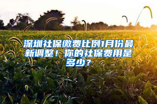 深圳社保缴费比例1月份最新调整！你的社保费用是多少？