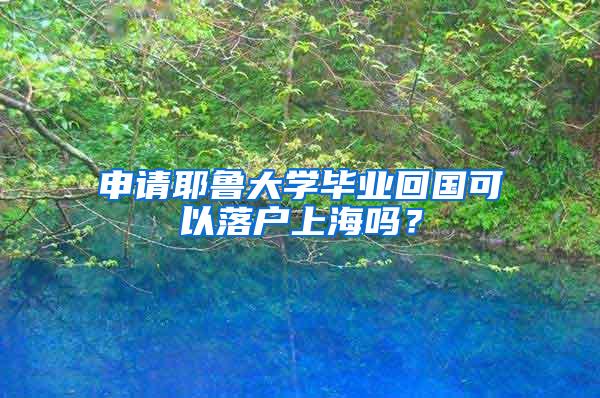 申请耶鲁大学毕业回国可以落户上海吗？