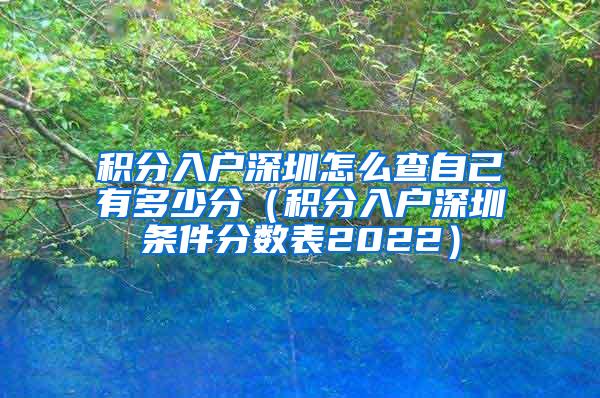 积分入户深圳怎么查自己有多少分（积分入户深圳条件分数表2022）