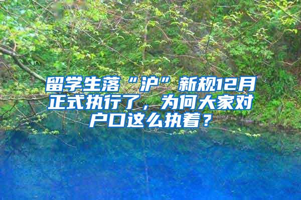 留学生落“沪”新规12月正式执行了，为何大家对户口这么执着？