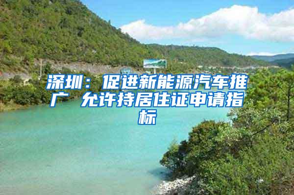 深圳：促进新能源汽车推广 允许持居住证申请指标