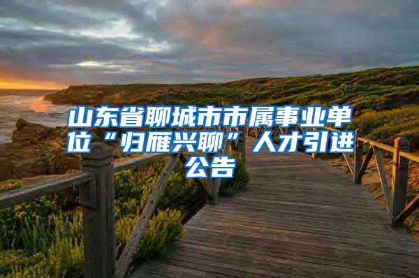 山东省聊城市市属事业单位“归雁兴聊”人才引进公告