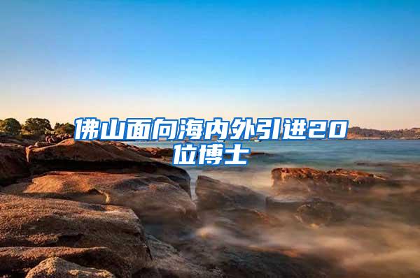 佛山面向海内外引进20位博士