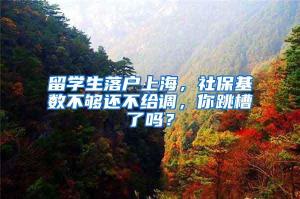 留学生落户上海，社保基数不够还不给调，你跳槽了吗？