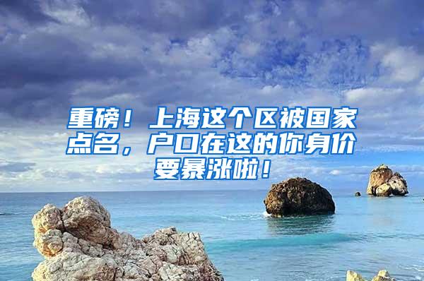 重磅！上海这个区被国家点名，户口在这的你身价要暴涨啦！