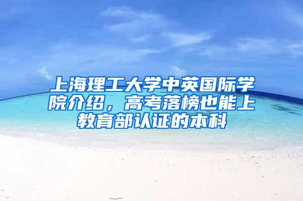 上海理工大学中英国际学院介绍，高考落榜也能上教育部认证的本科