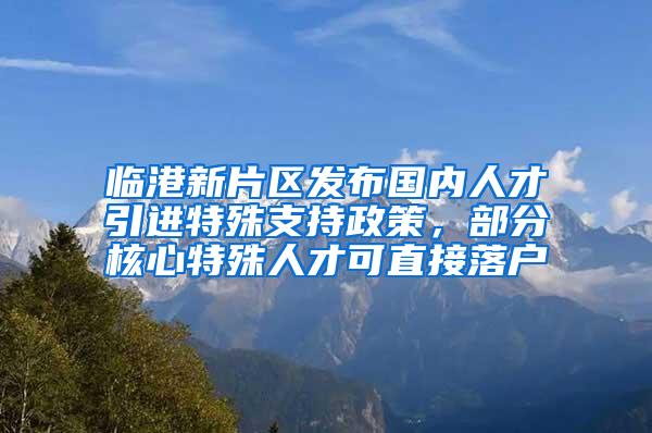 临港新片区发布国内人才引进特殊支持政策，部分核心特殊人才可直接落户