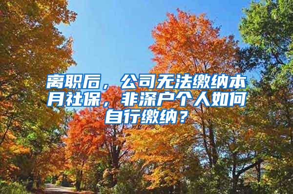 离职后，公司无法缴纳本月社保，非深户个人如何自行缴纳？