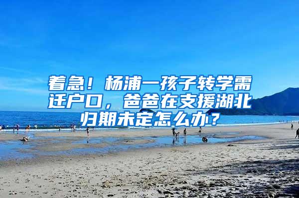 着急！杨浦一孩子转学需迁户口，爸爸在支援湖北归期未定怎么办？