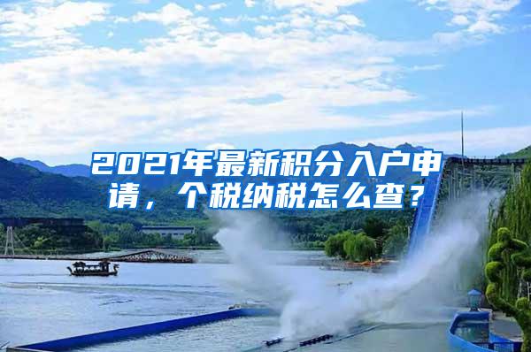 2021年最新积分入户申请，个税纳税怎么查？