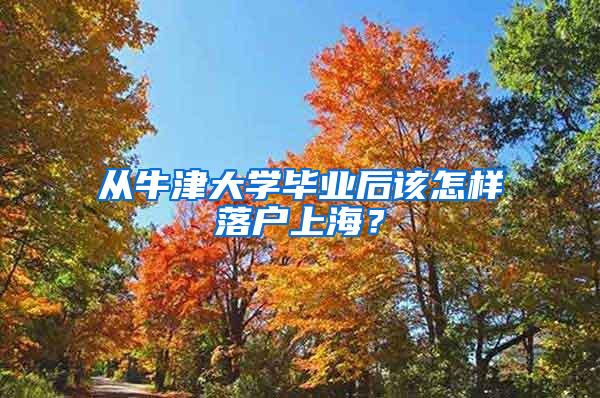 从牛津大学毕业后该怎样落户上海？