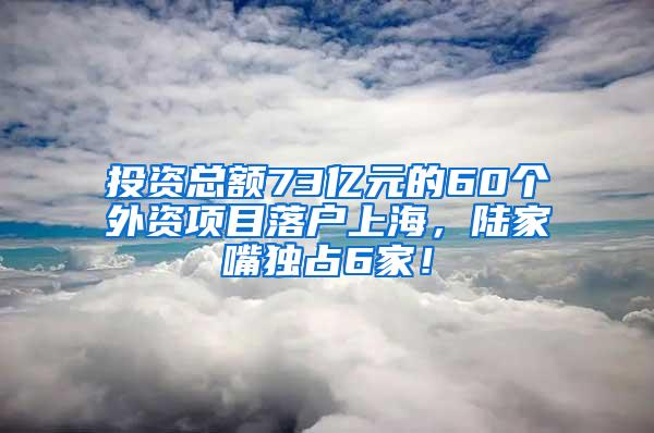 投资总额73亿元的60个外资项目落户上海，陆家嘴独占6家！