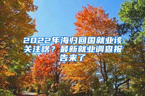 2022年海归回国就业该关注啥？最新就业调查报告来了