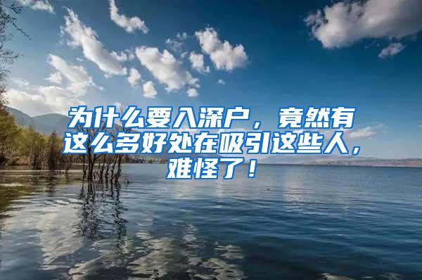 为什么要入深户，竟然有这么多好处在吸引这些人，难怪了！