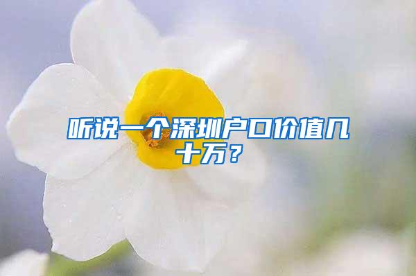 听说一个深圳户口价值几十万？